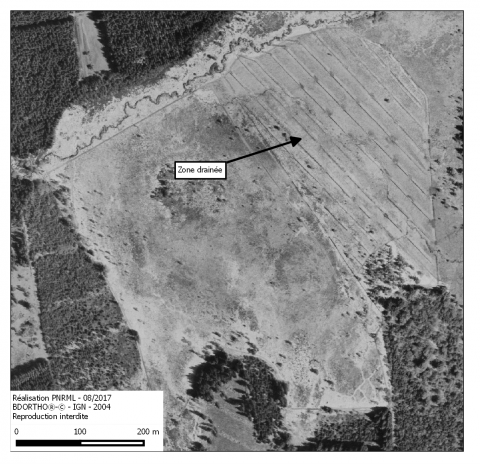 Orthophoto des drains Tourbière de la Ferrière - Crédit photo PNRML