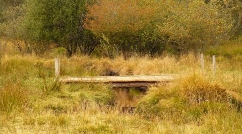 Passerelle aménagée - Crédit PNRML