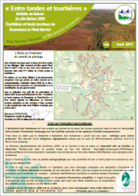 Entre landes et tourbières 5