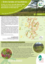 Entre landes et tourbières 6