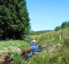 Cloture - Crédit photo PNRML