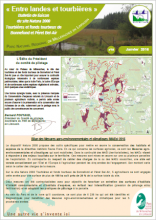 Entre landes et tourbières 4